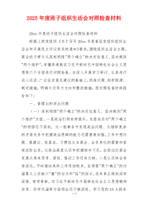 2025年度班子组织生活会对照检查材料