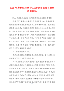 2025年度组织生活会XX所党支部班子对照检查材料