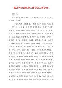 副县长在县政府工作会议上的讲话