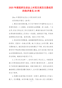 2025年度组织生活会上对党支部及支委成员的批评意见20例 