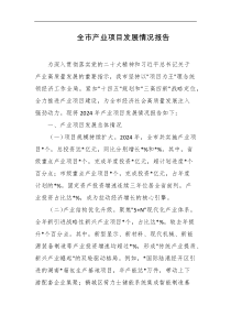 全市产业项目发展情况报告