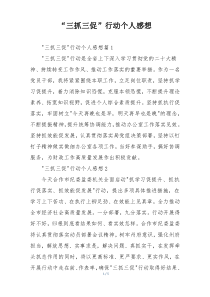“三抓三促”行动个人感想