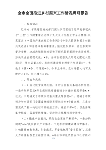 全市全面推进乡村振兴工作情况调研报告