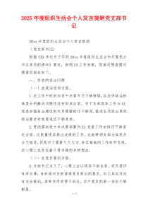 2025年度组织生活会个人发言提纲党支部书记