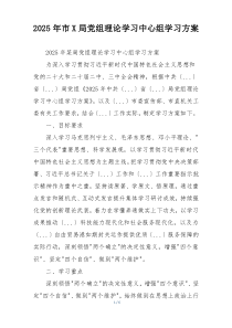 2025年市X局党组理论学习中心组学习方案
