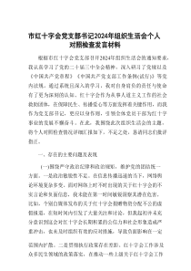 2025年度组织生活会个人对照检查发言材料（四个带头）（红十字会党支部书记）