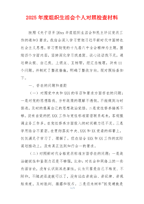 2025年度组织生活会个人对照检查材料