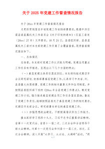 关于2025年党建工作督查情况报告