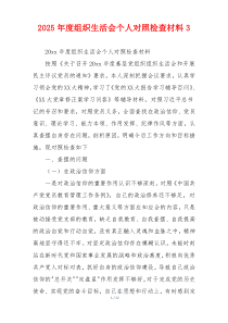 2025年度组织生活会个人对照检查材料3