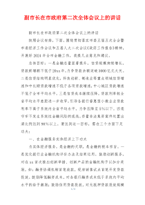 副市长在市政府第二次全体会议上的讲话
