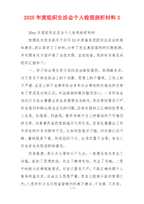 2025年度组织生活会个人检视剖析材料2