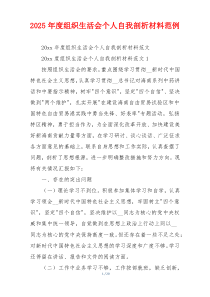 2025年度组织生活会个人自我剖析材料范例