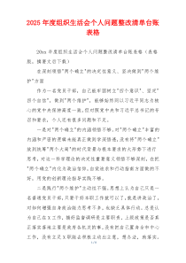 2025年度组织生活会个人问题整改清单台账表格