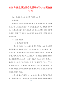 2025年度组织生活会党员干部个人对照检查材料