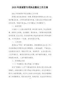 2025年度城管专项执法整治工作方案