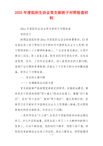 2025年度组织生活会党支部班子对照检查材料