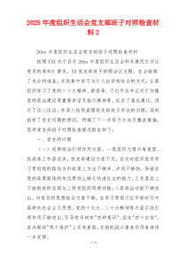 2025年度组织生活会党支部班子对照检查材料2