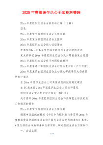2025年度组织生活会全套资料整理
