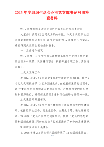 2025年度组织生活会公司党支部书记对照检查材料