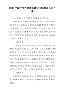 2025年度社会评价意见建议问题整改工作方案