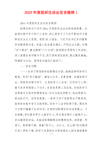 2025年度组织生活会发言提纲1