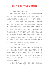 2025年度组织生活会发言提纲3