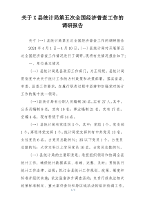 关于X县统计局第五次全国经济普查工作的调研报告