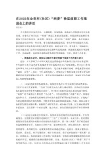 在2025年全县村（社区）“两委”换届前期工作推进会上的讲话