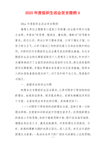 2025年度组织生活会发言提纲4
