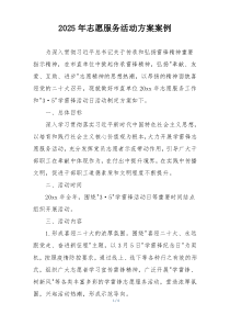 2025年志愿服务活动方案案例
