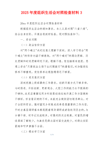 2025年度组织生活会对照检查材料3