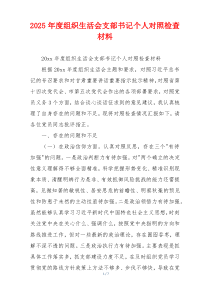 2025年度组织生活会支部书记个人对照检查材料