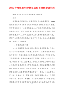 2025年度组织生活会支部班子对照检查材料