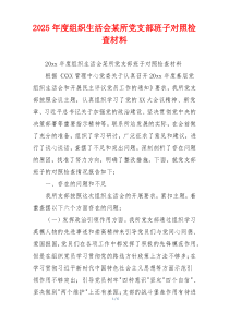 2025年度组织生活会某所党支部班子对照检查材料