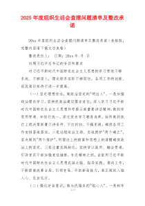 2025年度组织生活会查摆问题清单及整改承诺
