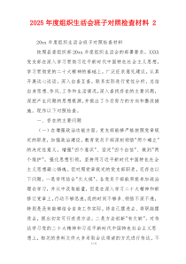 2025年度组织生活会班子对照检查材料 2