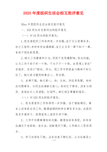 2025年度组织生活会相互批评意见