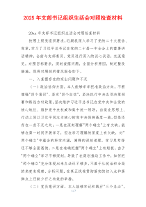 2025年支部书记组织生活会对照检查材料