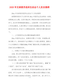 2025年支部委员组织生活会个人发言提纲