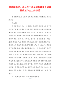 县委副书记、县长在X县健康县城建设问题整改工作会上的讲话