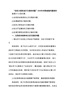 支部“在权力规范运行方面的问题”2025年对照查摆问题清单 精选完整版