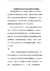 某县委副书记民主生活会会前研讨发言提纲范文