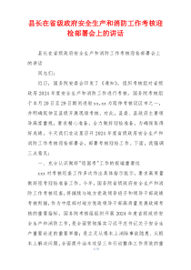 县长在省级政府安全生产和消防工作考核迎检部署会上的讲话