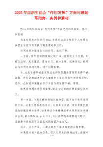 2025年组织生活会“作用发挥”方面问题起草指南、实例和素材