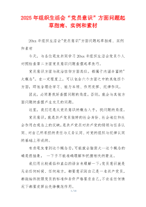 2025年组织生活会“党员意识”方面问题起草指南、实例和素材