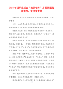 2025年组织生活会“政治信仰”方面问题起草指南、实例和素材