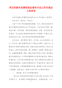 同志在振兴发展促进会城市分会工作交流会上的讲话
