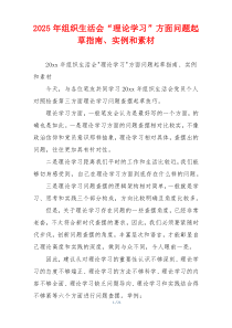 2025年组织生活会“理论学习”方面问题起草指南、实例和素材