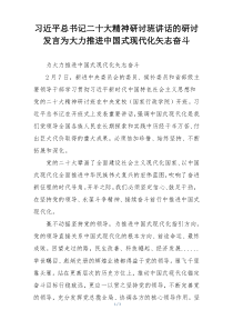 习近平总书记二十大精神研讨班讲话的研讨发言为大力推进中国式现代化矢志奋斗