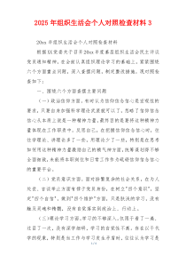 2025年组织生活会个人对照检查材料3